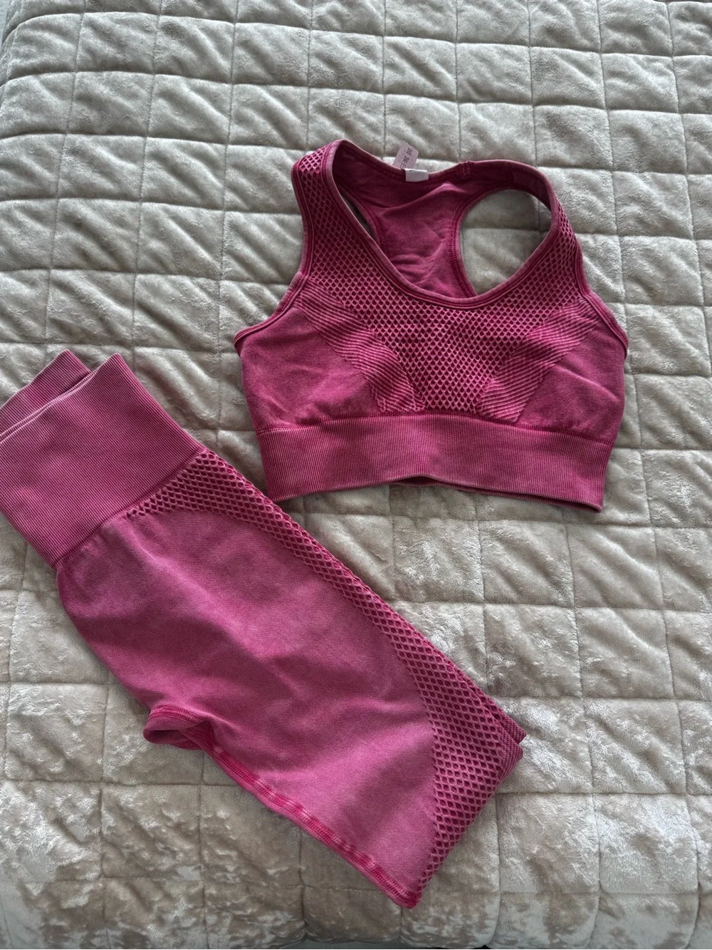 Seamless Mesh-Detail Leggings and Crop Top Set in Berry